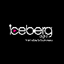 Iceberg Digital Lifesycle Reviews & Ratings