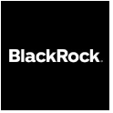 BlackRock 360 Evaluator Reviews & Ratings