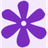 Bloom Reviews & Ratings