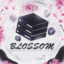 Blossom Host Reviews & Ratings