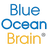 Blue Ocean Brain Reviews (2026)
