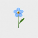 blume Reviews & Ratings