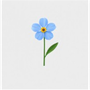 blume Reviews & Ratings