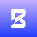 BorderAudit Reviews & Ratings