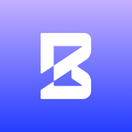 BorderAudit Reviews & Ratings