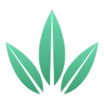 Budy Reviews & Ratings