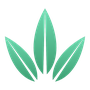 Budy Reviews & Ratings