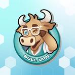 BullVPN Reviews & Ratings