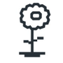 Flower Reviews & Ratings