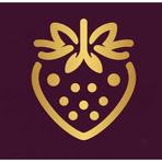 Fraoula Data Auditor Reviews & Ratings