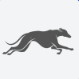 Galgos AI Reviews & Ratings