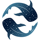 Holokai Reviews & Ratings