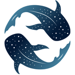 Holokai Reviews & Ratings