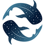 Holokai Reviews & Ratings