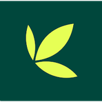 Bamboo Reviews & Ratings