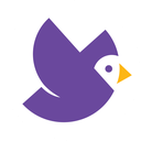 IronFlock Reviews & Ratings