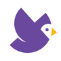 IronFlock Reviews & Ratings