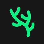 Korl Reviews & Ratings