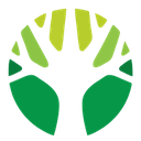Limetree Legal Reviews & Ratings