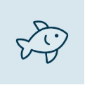 Mailreef Reviews & Ratings
