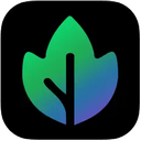 Maple AI Reviews & Ratings