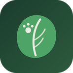 Pupline Reviews & Ratings