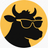 Rankcow Reviews & Ratings