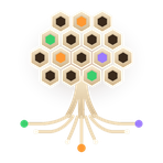 RootSystems Reviews & Ratings