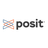 Posit Reviews (2026)