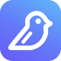 Screenbird Reviews & Ratings