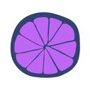 SiliForm Reviews & Ratings