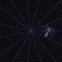 StaticSpider Reviews & Ratings