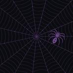 StaticSpider Reviews & Ratings