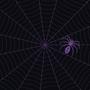 StaticSpider Reviews & Ratings