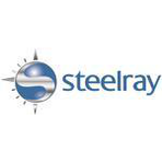 Steelray Project Analizer Reviews & Ratings
