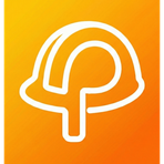 Planaut Reviews & Ratings