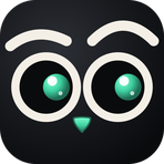 Visual Sentinel Reviews & Ratings
