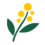 Wattle AI Reviews & Ratings