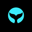 Whale Alerts Reviews & Ratings