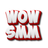 WowSMM Reviews & Ratings