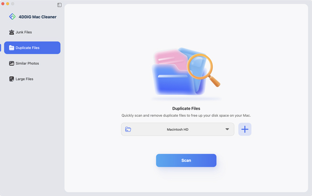 The main interface 