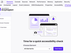 Test your website for all elements with A11yInspect