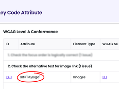 Keycode Attribute feature in A11yInspect