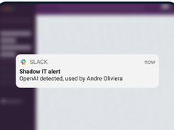 AccessOwl Screenshot 2
