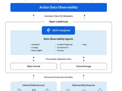 Actian Data Observability Screenshot 2