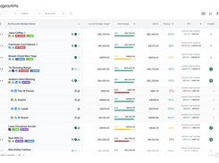 Adpulse Budget Management