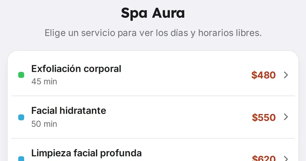 A Spanish booking page headed “Spa Aura” listing services including Exfoliación corporal, Facial hidratante, and Limpieza facial profunda with durations and prices.