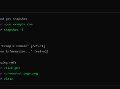 agent-browser Screenshot 1