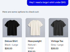 Agentic Commerce Protocol (ACP) Screenshot 2