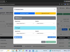 Promote Users